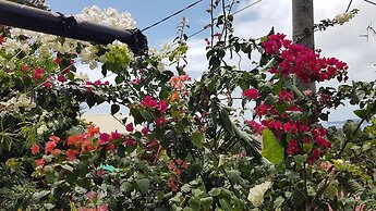 CHEZ LORNA 3 nights or plus