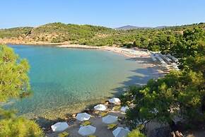 Royal Paradise Beach Resort & Spa