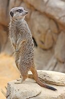 Four Points® by Sheraton Costa Blanca