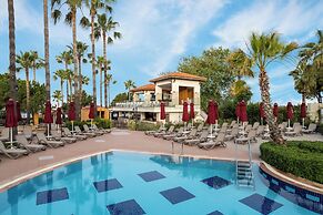 Trendy Palm Beach (Adults Only, 16+)