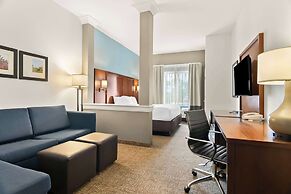 Comfort Suites Rensselaer near Fair Oaks