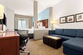 Comfort Suites Rensselaer near Fair Oaks