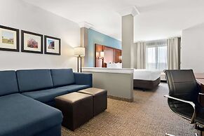 Comfort Suites Rensselaer near Fair Oaks