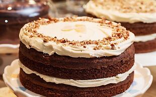 Saplinbrae Hotel and Lodges