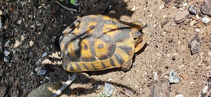 Baywatch Villa Guest House and Self Catering Accommodation