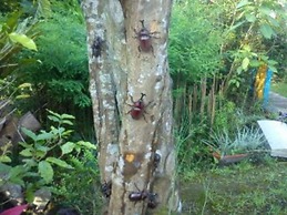 Zhen Shan Zhuang B&B