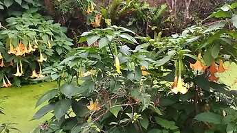 Zhen Shan Zhuang B&B