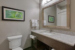 Best Western Plus Tech Medical Center Inn