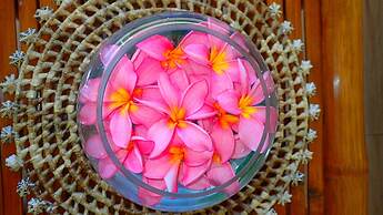 Aozora Seaside Mactan