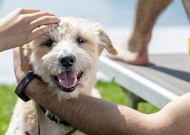 Agriturismo Ca' del Lago