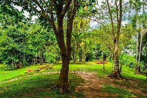 Lakshmi Ecolodge and Holistic Spa