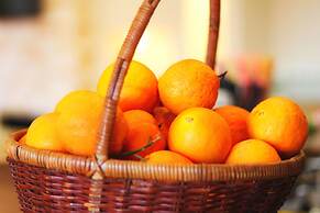 Thalassa Apart Hotel