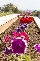 Thalassa Apart Hotel