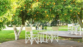 Resort & Winery Bosco De Medici