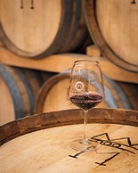 Resort & Winery Bosco De Medici