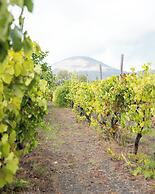 Resort & Winery Bosco De Medici