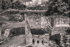 Resort & Winery Bosco De Medici