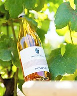 Resort & Winery Bosco De Medici