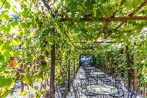 Resort & Winery Bosco De Medici