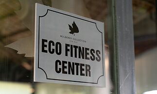 Mulberry Collection Silk Eco