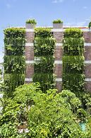 Mulberry Collection Silk Eco