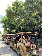 Mulberry Collection Silk Eco