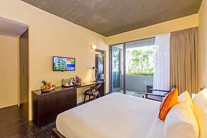 Mulberry Collection Silk Eco