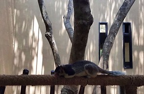 Birds Park Polgahawela