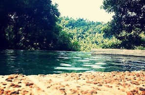 Birds Park Polgahawela