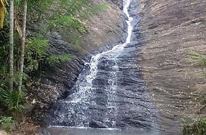 Birds Park Polgahawela