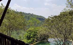 Birds Park Polgahawela