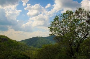 Birds Park Polgahawela