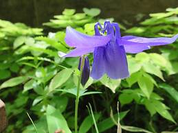 Kanbayashi Hotel Senjukaku