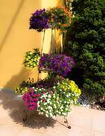 Le Pinette Bed and Breakfast