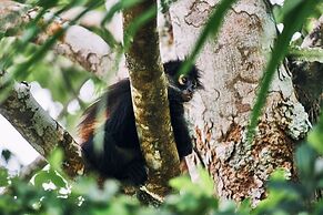 La Lancha by Francis Ford Coppola