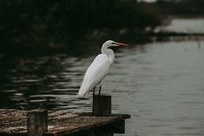 La Lancha by Francis Ford Coppola