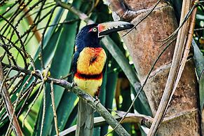 La Lancha by Francis Ford Coppola