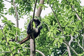 La Lancha by Francis Ford Coppola