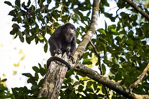 La Lancha by Francis Ford Coppola