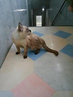 Guest House Sea glass