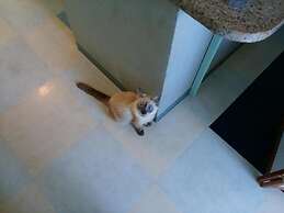 Guest House Sea glass