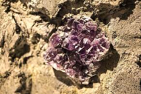 Hotel The Grandee Shinsaibashi