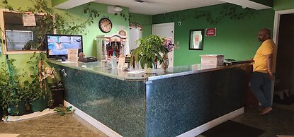 Executive Inn By OYO Mineral Wells US-180