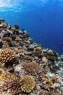 Seaside Finolhu Baa Atoll Maldives, a Member of Design Hotels