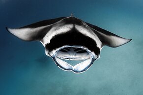 Seaside Finolhu Baa Atoll Maldives, a Member of Design Hotels