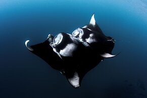 Seaside Finolhu Baa Atoll Maldives, a Member of Design Hotels