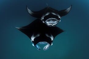 Seaside Finolhu Baa Atoll Maldives, a Member of Design Hotels