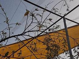 Complejo Rural Ibipozo