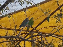 Complejo Rural Ibipozo