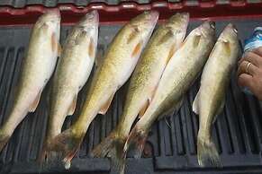 Inn at the Hilton Beach by Elevate Rooms